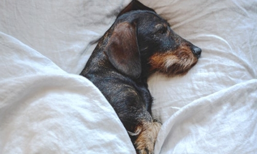 Warum ist gesunder Schlaf so wichtig für Dich?