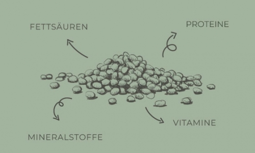 Warum sind Hanfsamen und Hanföl so gesund?