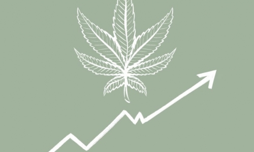 Grünes Gold an der Börse: Hanf als aufstrebende Investmentmöglichkeit